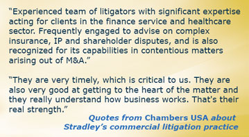 Chambers USA Litigation Testimonials